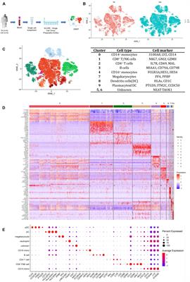 Single-Cell RNA Sequencing Revealed CD14+ Monocytes Increased in Patients With Takayasu’s Arteritis Requiring Surgical Management